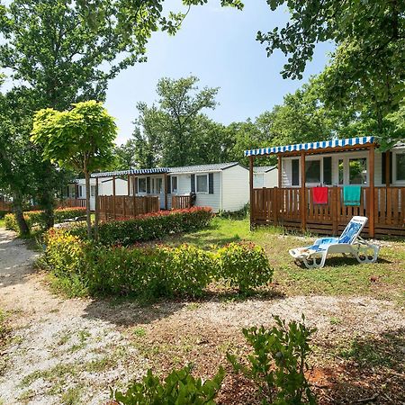 Albatross Mobile Homes On Solaris Camping Fkk-Naturist Poreč Eksteriør billede